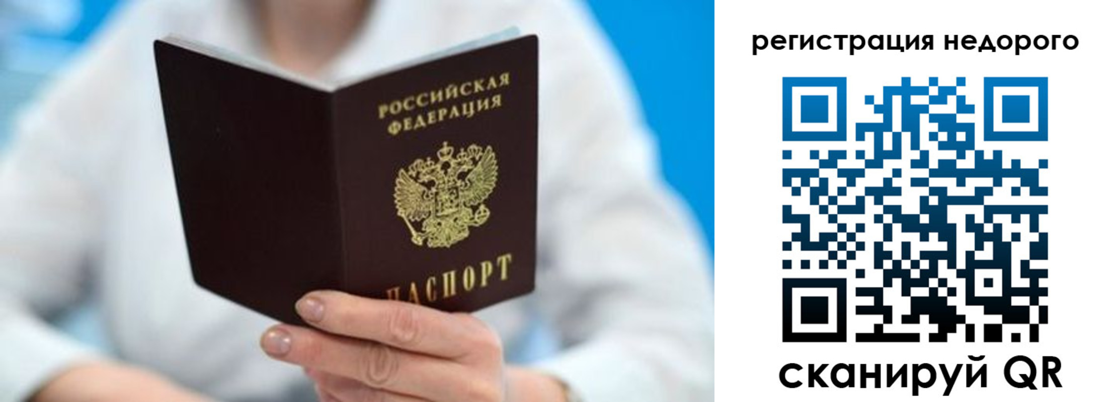 регистрация для школы в Всеволожске